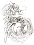 Rating: s
ID: 4865325
Date: 2024-06-19 21:18:29 -0400
Status: active
Score: 27
barbel_(anatomy) blotch claws dragon eastern_dragon eyebrows feral flesh_whiskers hi_res horn male monochrome mythological_creature mythological_scalie mythology quadruped scalie solo tail post #4865325