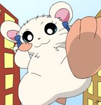 Rating: s
ID: 4162810
Date: 2023-07-10 19:31:48 -0400
Status: active
Score: 7
2021 artist_logo bijou_(hamtaro) blue_eyes building cricetid digital_drawing_(artwork) digital_media_(artwork) feet female feral foot_focus fur hamster hamtaro_(series) imminent_stomp logo looking_at_viewer looking_down looking_down_at_viewer low-angle_view macro mammal pichu90 raised_foot rodent solo white_body white_fur worm's-eye_view post #4162810