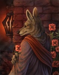 Rating: s
ID: 99953
Date: 2010-10-28 01:36:51 -0400
Status: active
Score: 63
alectorfencer ambiguous_gender amon_(rukis) anthro black_nose brick_wall canid canine canis claws clothing collar comic cover_art detailed_background ear_piercing ear_ring english_text finger_claws flower fur holding_flower holding_object jackal lamp lantern looking_at_viewer mammal metal_collar multicolored_clothing piercing plant red_clothing red_lantern ring_piercing robe rukis solo tan_body tan_fur text wall_(structure) warm_colors yellow_eyes post #99953
