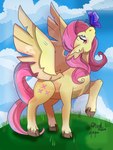 post #5330112