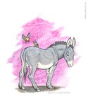 Rating: s
ID: 4062264
Date: 2023-05-20 02:56:50 -0400
Status: active
Score: 15
2013 5:6 ambiguous_gender angela_butt artist_name asinus avian bird blue_body blue_feathers donkey equid equine feathers feral fur grey_body grey_fur grey_tail group mammal standing tail text url yellow_body yellow_feathers post #4062264