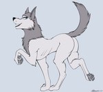 Rating: s
ID: 4053680
Date: 2023-05-15 15:09:42 -0400
Status: active
Score: 38
2020 blue_eyes butt canid canine canis cartoon_saloon ears_up eurasian_wolf fangs female feral fur looking_back mammal marcushunter nude open_mouth paws raised_tail robyn_goodfellowe signature smile solo tail teeth walking wolf wolfwalkers post #4053680