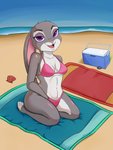 Rating: s
ID: 2348888
Date: 2020-07-28 20:38:51 -0400
Status: active
Score: 26
3:4 anthro beach beach_towel bikini breasts clothed clothing conditional_dnp cooler detailed_background disney female fur hi_res judy_hopps kneeling lagomorph leporid looking_at_viewer mammal on_towel outside purple_eyes rabbit sand seaside smaller_version_at_source smile smiling_at_viewer solo swimwear towel trex_b6 two-piece_swimsuit under_boob water zootopia post #2348888
