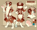 Rating: s
ID: 5662042
Date: 2025-06-23 05:05:25 -0400
Status: active
Score: 1
anthro arm_tuft black_nose blue_eyes border_collie brown_body brown_eyes brown_fur brown_hair butt canid canine canis cheek_tuft chest_tuft collie digitigrade domestic_dog elbow_tuft facial_tuft featureless_crotch floppy_ears front_view fur hair herding_dog heterochromia knee_tuft leg_tuft looking_at_viewer male mammal model_sheet neck_tuft nude open_mouth pastoral_dog pawpads pink_pawpads pink_tongue princelykaden rear_view sheepdog short_hair simple_background solo standing tongue tongue_out tuft white_body white_fur post #5662042