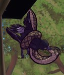 Rating: s
ID: 5193626
Date: 2024-11-20 04:43:57 -0500
Status: active
Score: 62
ambiguous/ambiguous ambiguous_gender avian azzythefurry beak bird black_body black_feathers blush bound brown_body coiling coiling_another coiling_around_body corvid corvus_(genus) crow dangling duo eyes_closed feathered_wings feathers feet feral fuzzy green_eyes interspecies kiss_on_lips kissing midair oscine outside passerine plant predator/prey reptile restrained restrained_wings scalie size_difference snake suspension tail tail_feathers talons toes tree trusting wing_restraint wings wings_tied post #5193626