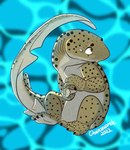Rating: s
ID: 5431781
Date: 2025-03-13 21:51:23 -0400
Status: active
Score: 5
ambiguous_gender anthro black_claws black_spots brown_arms brown_body brown_eyes brown_legs carpet_shark chainsxwsmile claws fish looking_away marine shark shark_tail solo spots underwater water zebra_shark post #5431781
