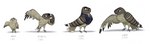 Rating: s
ID: 4516318
Date: 2024-01-05 14:20:09 -0500
Status: active
Score: 13
4_toes adolescent age_chart age_progression ambiguous_gender anisodactyl avian avian_feet beak biped bird blush brown_body brown_eyes brown_feathers chart child claws clothed clothing detective digital_media_(artwork) embarrassed european_nightjar eye_scar eyebrows facial_scar feathered_wings feathers feet feral fluffy full-length_portrait hi_res lidded_eyes male multicolored_body multicolored_feathers neville_nightglider nightjar police police_officer portrait raised_eyebrow sallylla scar simple_background solo standing striped_feathers stripes tail tail_feathers tan_body tan_feathers timeline toe_claws toes topwear vest white_background wings young young_ambiguous young_feral post #4516318