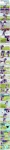 post #264669