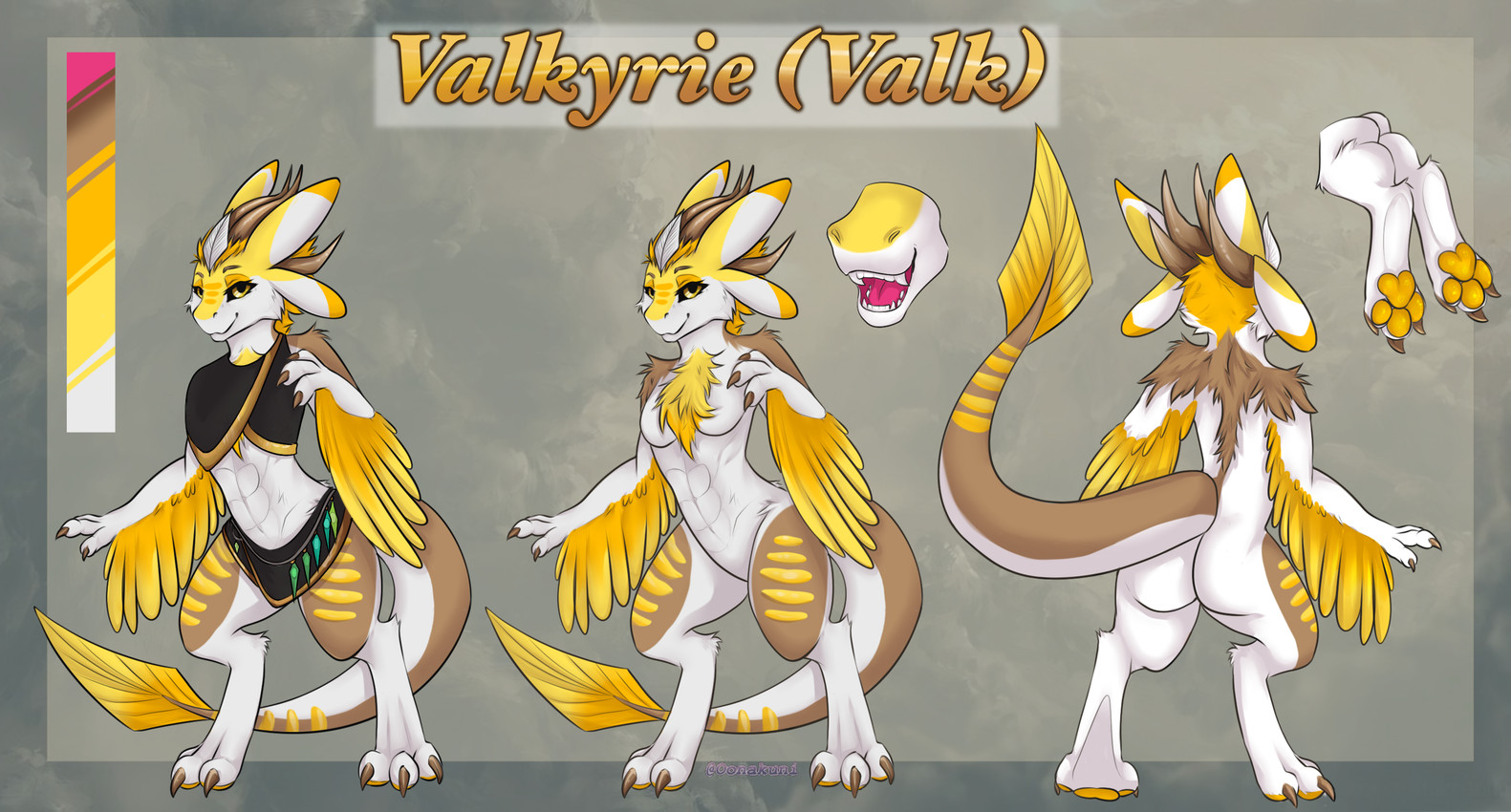 valkyrie created by oonakuni