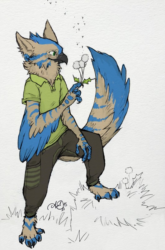 kona created by ajshroy