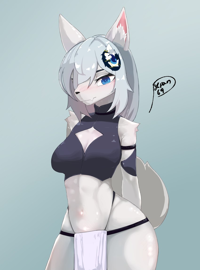 created by pypan69
