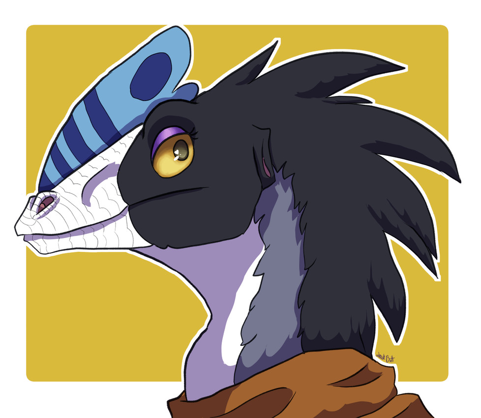 lawkbutt created by lawkbutt
