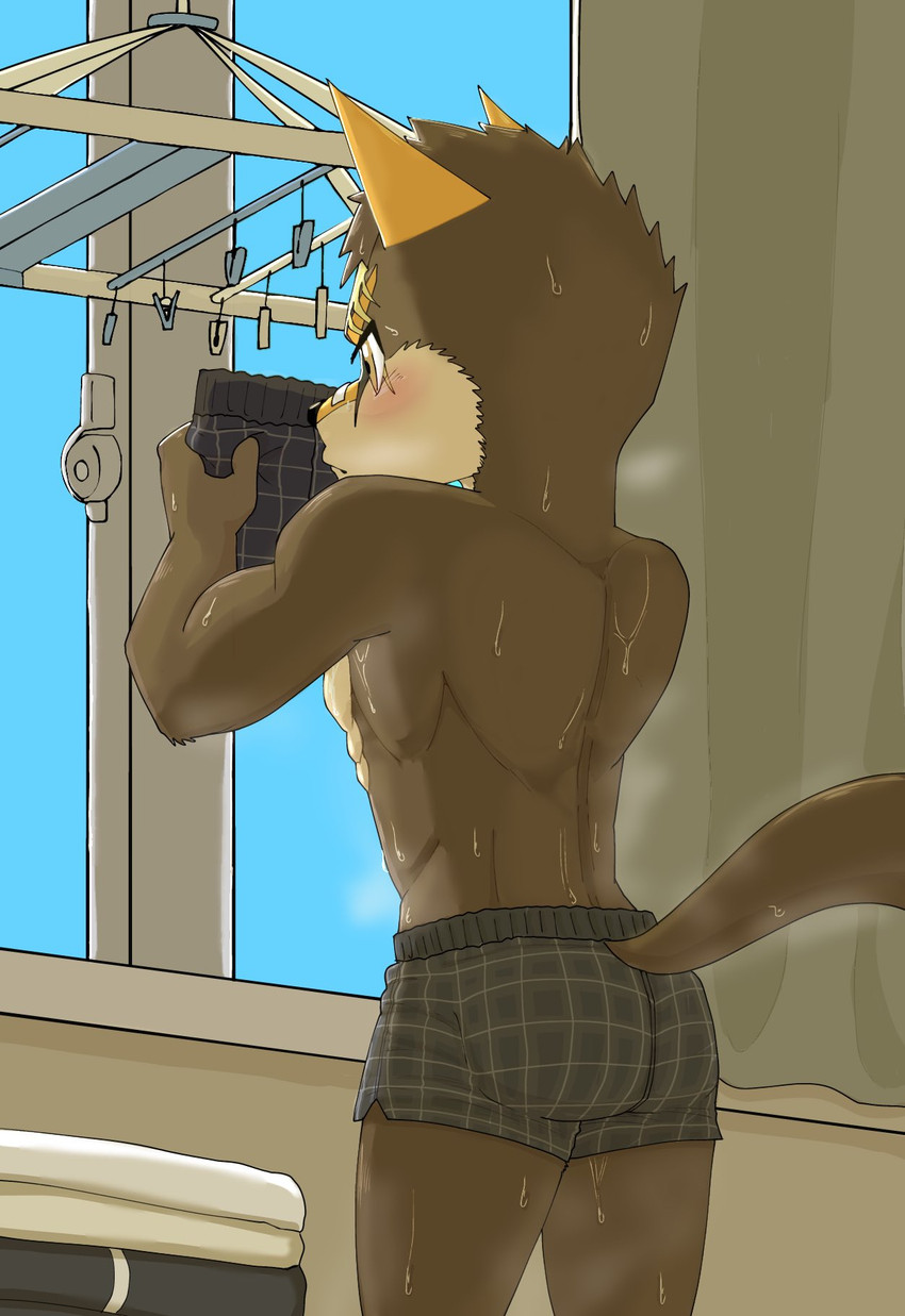 taisei yotsukado created by sakai (artist)