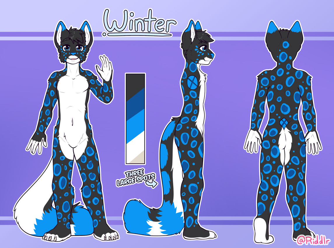 winter created by riddlr