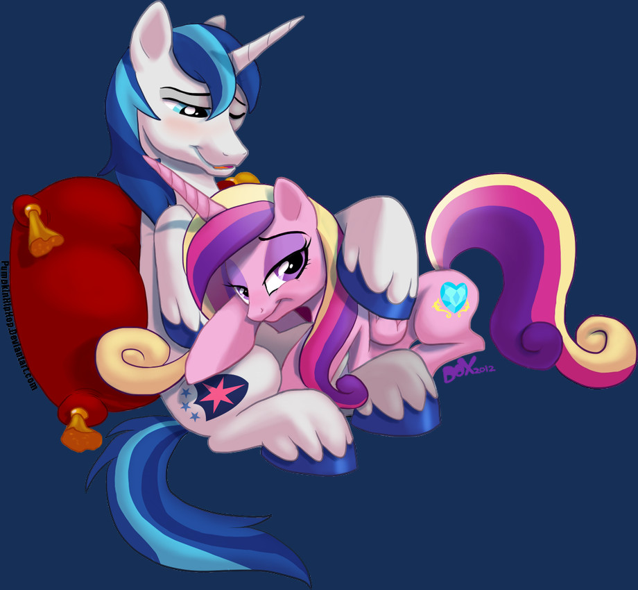 princess cadance and shining armor (friendship is magic and etc) created by pandadox