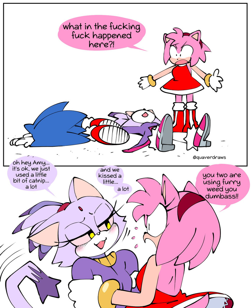 amy rose, blaze the cat, and sonic the hedgehog (sonic the hedgehog (series) and etc) created by quavernsfw