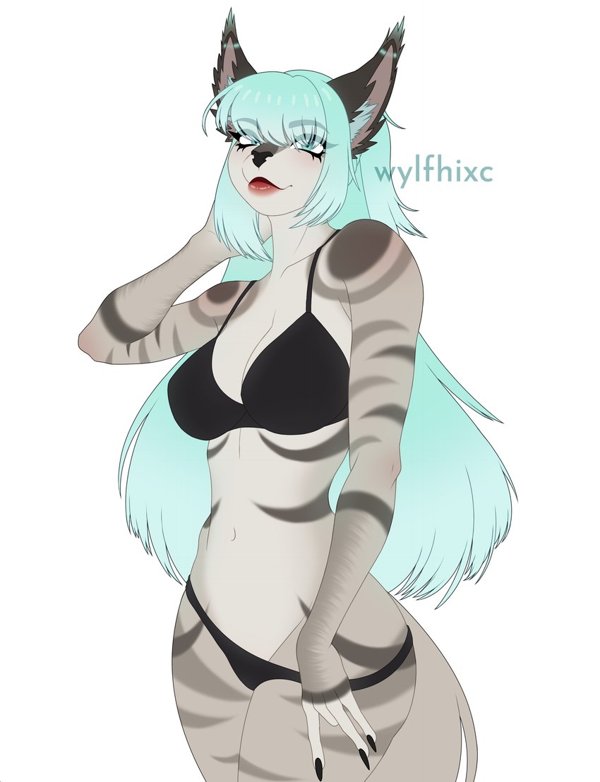 created by wylfhixc