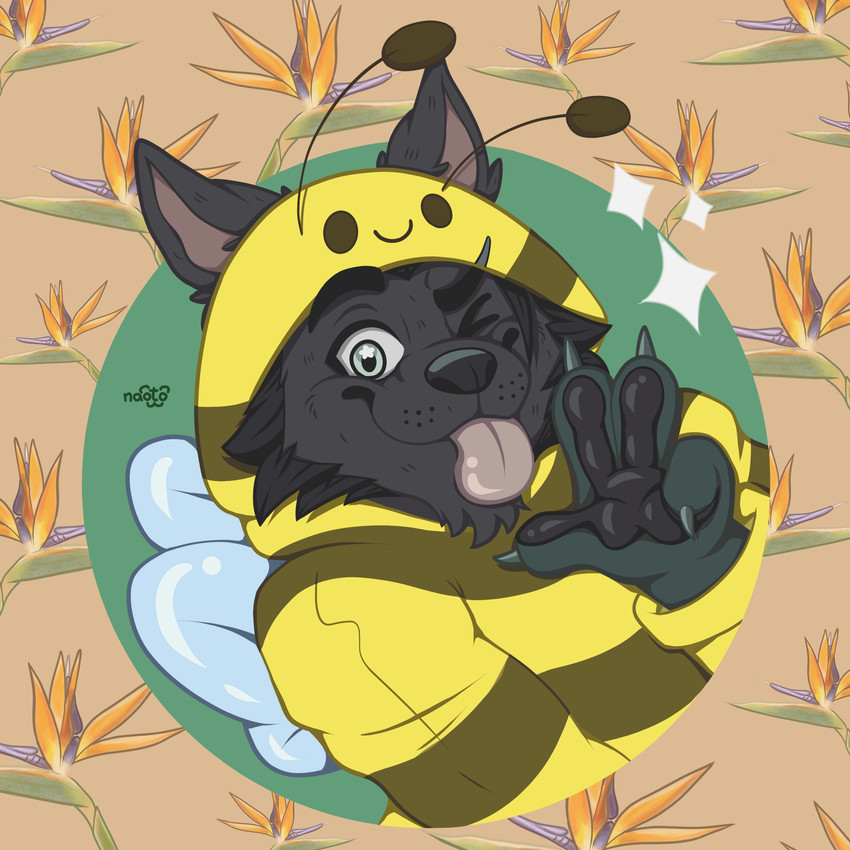 created by naoto
