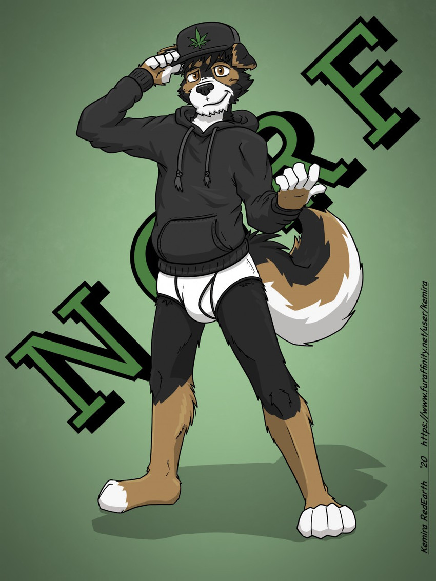 norf created by kemira