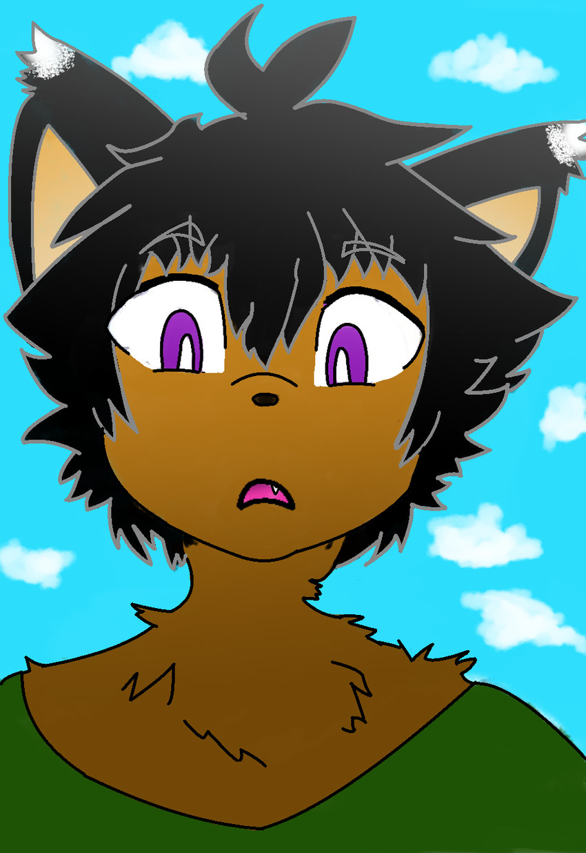 lucas vulperosa created by sinisterslyfox