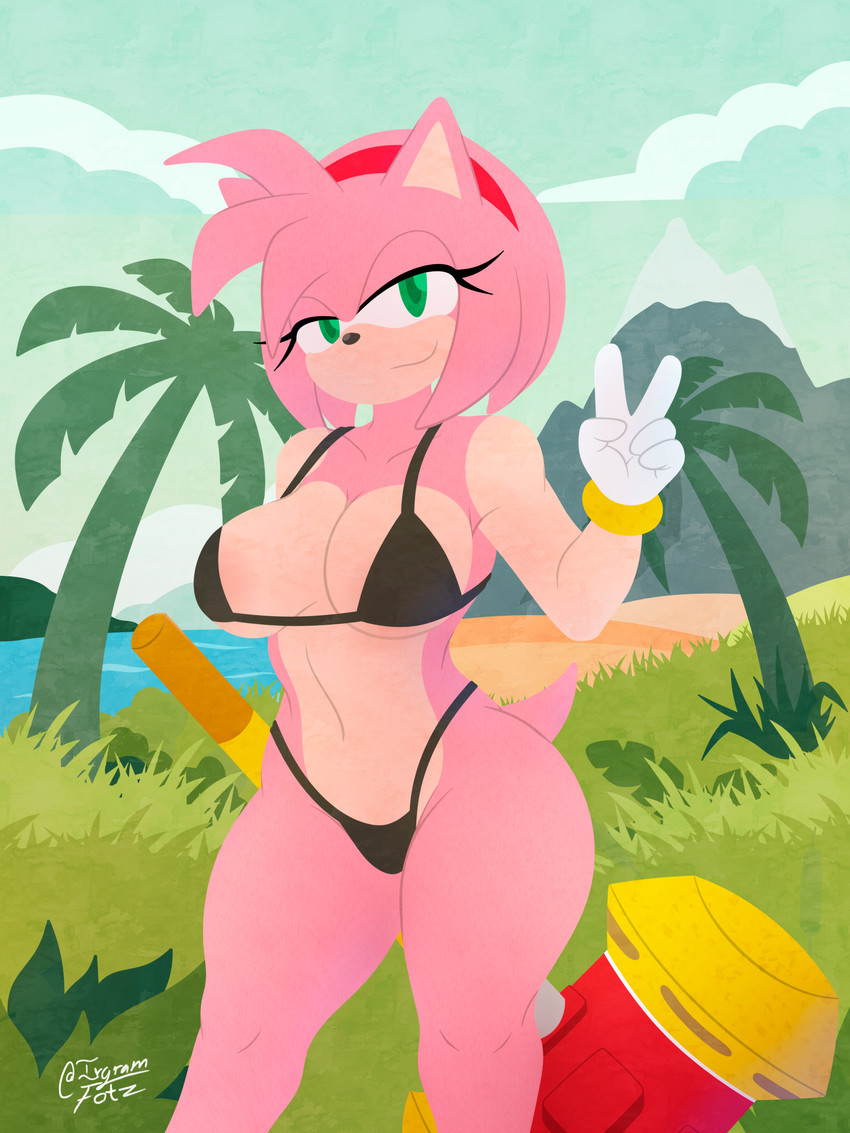 amy rose (sonic the hedgehog (series) and etc) created by irgramfox