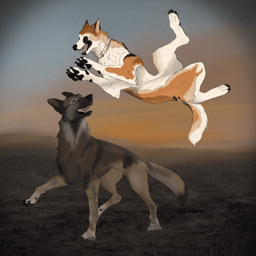 created by zhekathewolf