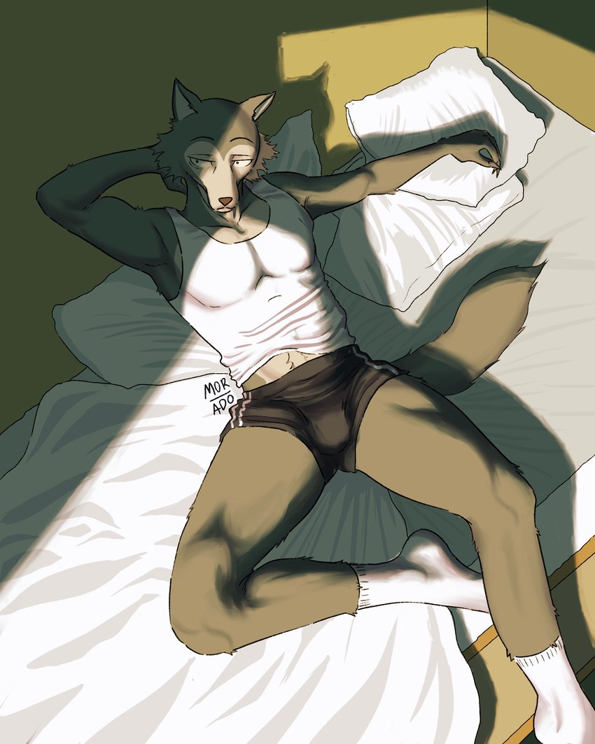 legoshi (beastars) created by xmor adox