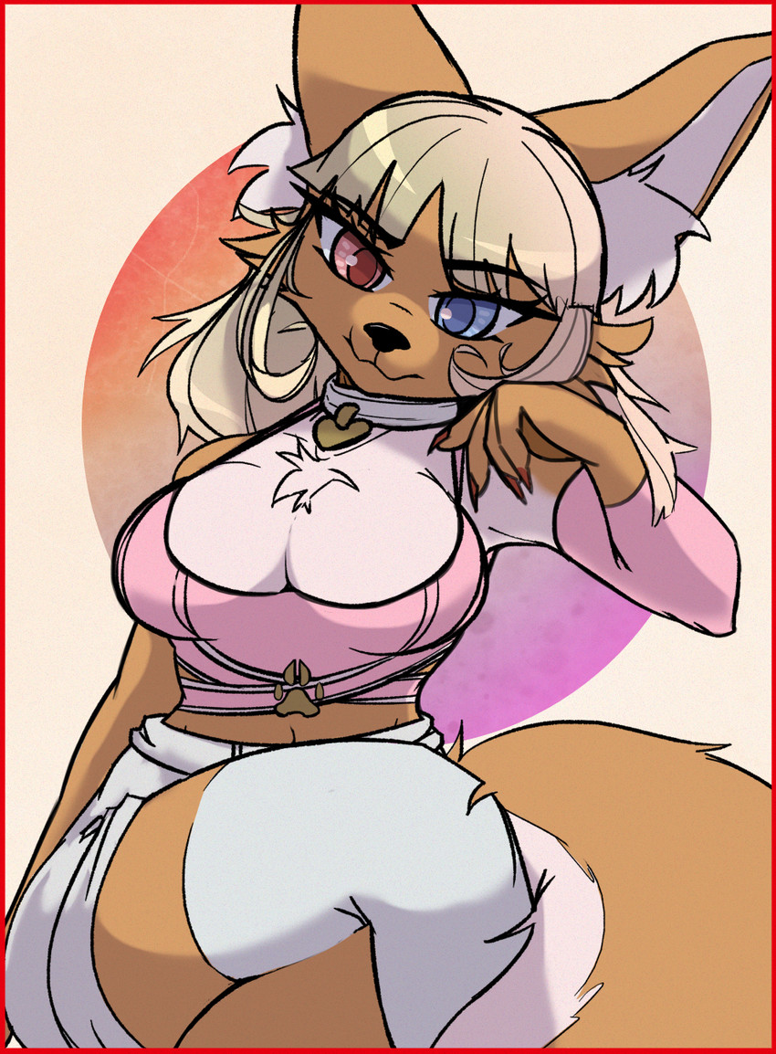 akai hime (combat cat studio and etc) created by viofsa