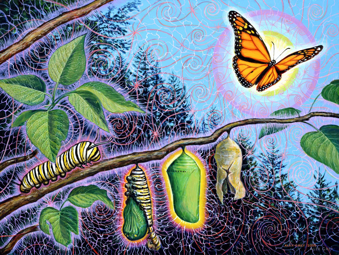 created by alex grey