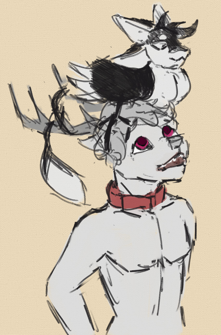 fyr and gooddeer created by hilyasp