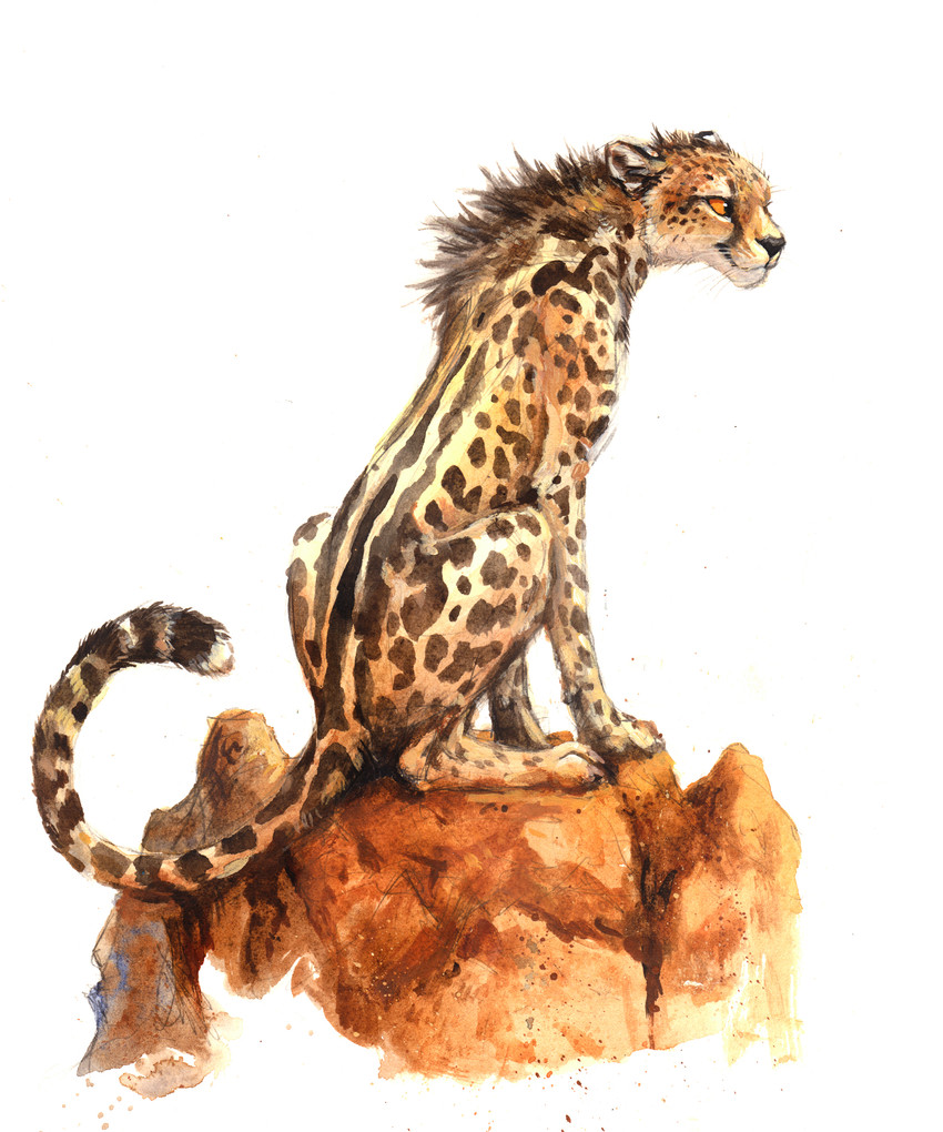 created by kenket