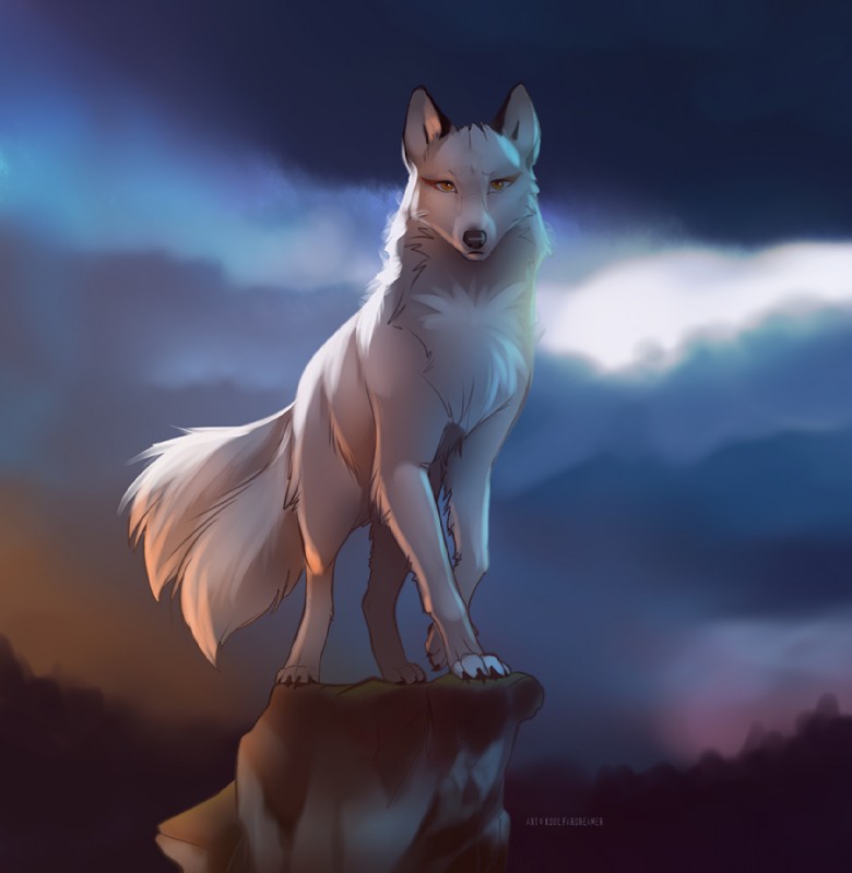 created by koul