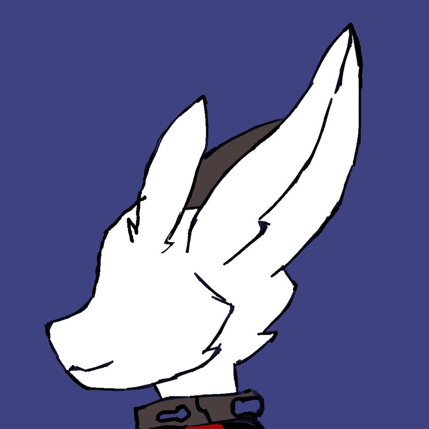conifer created by mikey234