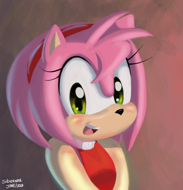 amy rose (sonic the hedgehog (series) and etc) created by siberwar