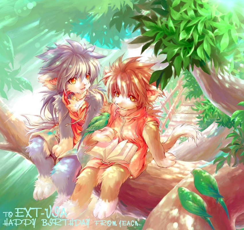 created by jeacn