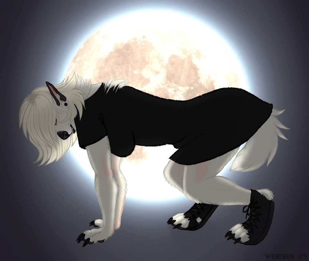 mythology created by wereren