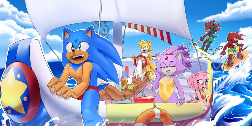 knuckles the echidna, shadow the hedgehog, sonic the hedgehog, blaze the cat, rouge the bat, and etc (sonic the hedgehog (series) and etc) created by krazyelf