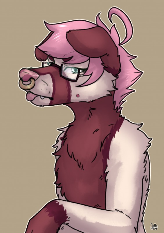 dax created by jalle