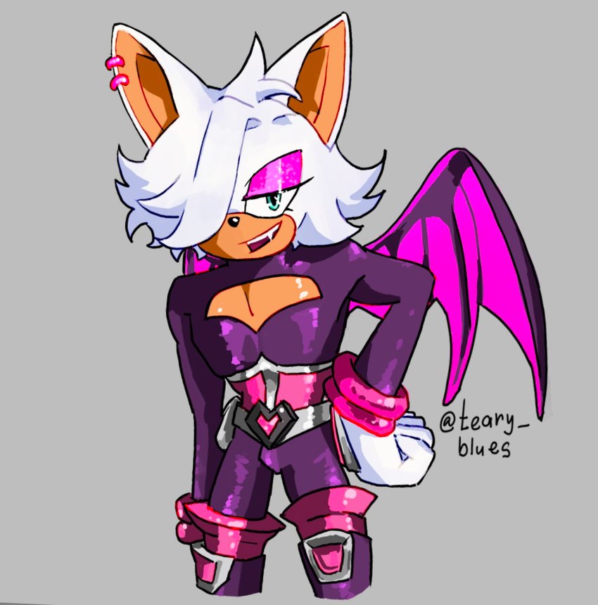 rogue the bat and rouge the bat (sonic the hedgehog (series) and etc) created by teary blues