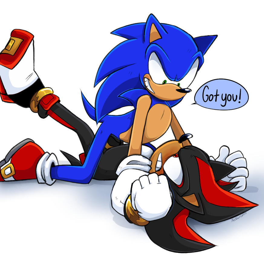 shadow the hedgehog and sonic the hedgehog (sonic the hedgehog (series) and etc) created by beastofeuthanasia