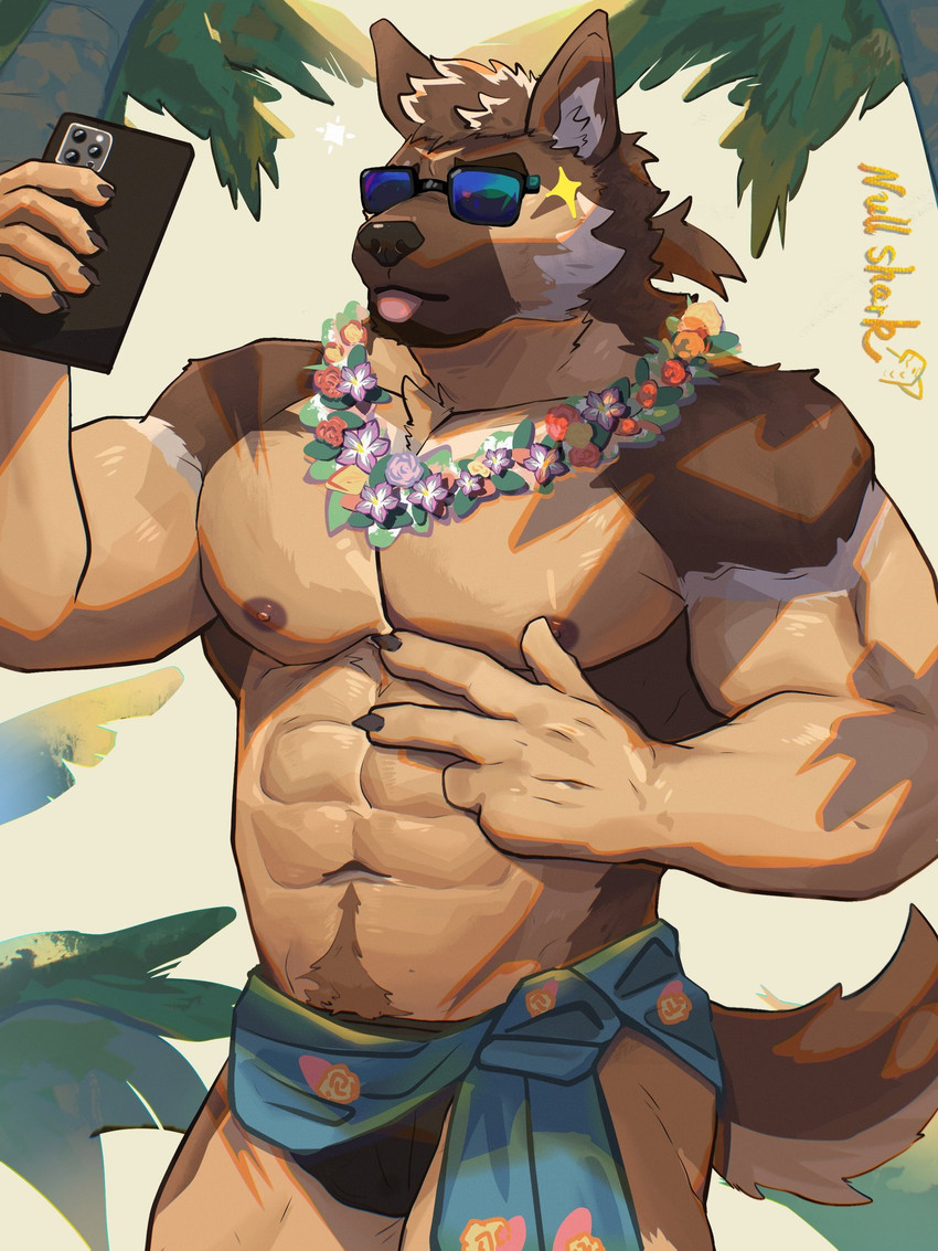 created by nullshark1