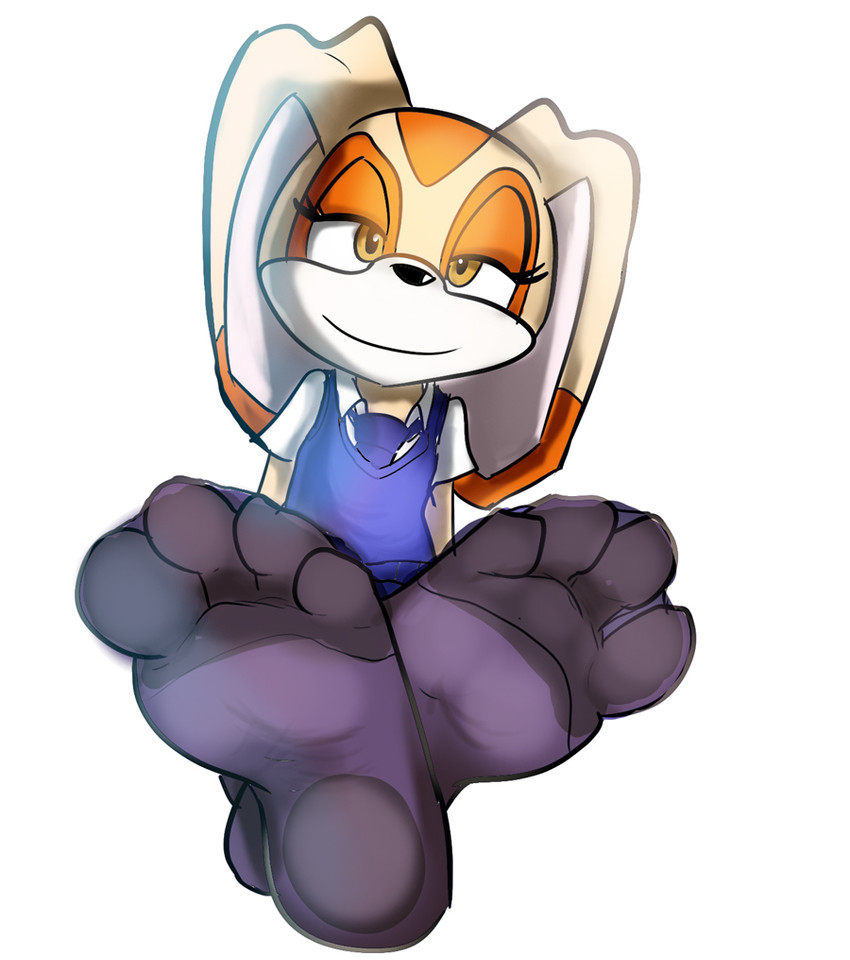 cream the rabbit (sonic the hedgehog (series) and etc) created by zuneycat