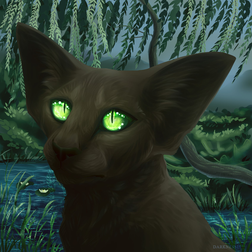 created by darknessisaisha
