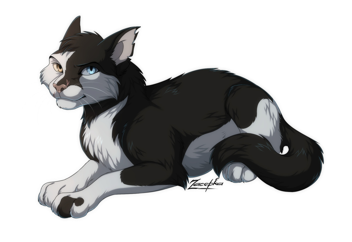 holly (varjak paw) created by zacepka