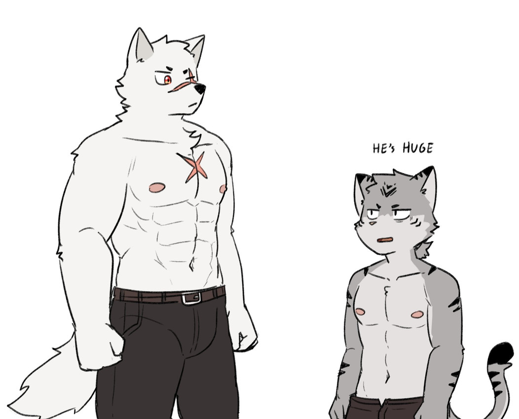 toby and wolf knight created by northwoooof