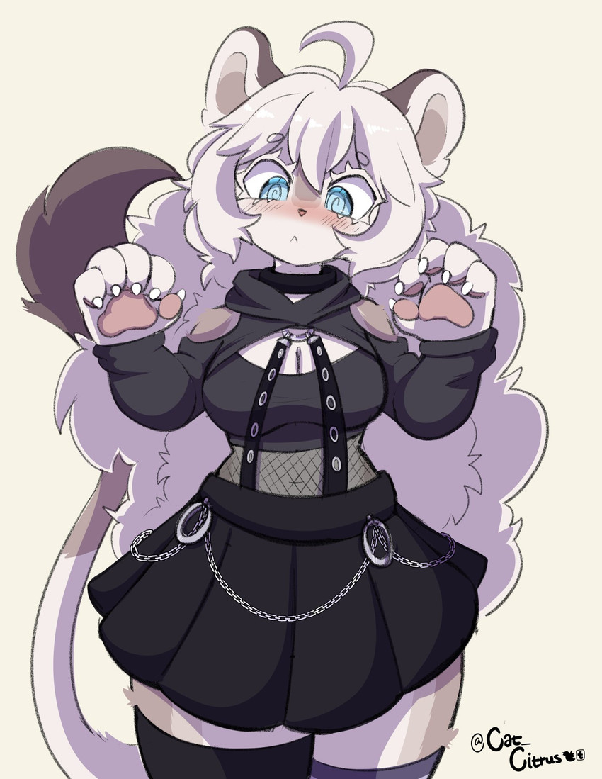 created by cat citrus