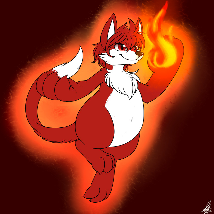 maru created by shikaro