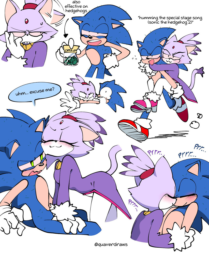 blaze the cat and sonic the hedgehog (sonic the hedgehog (series) and etc) created by quavernsfw