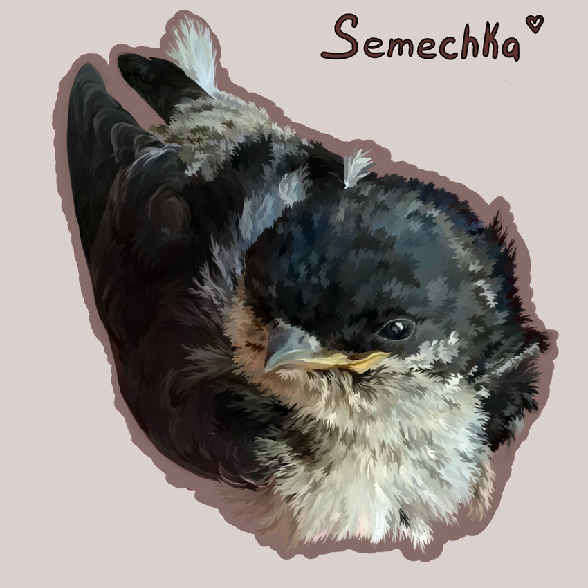 created by msdeadsoul