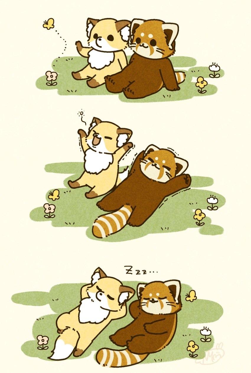 created by shi nominmin